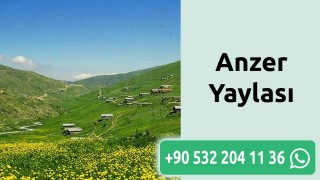 Anzer Yaylası